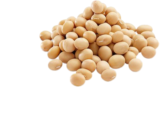 大豆肽粉